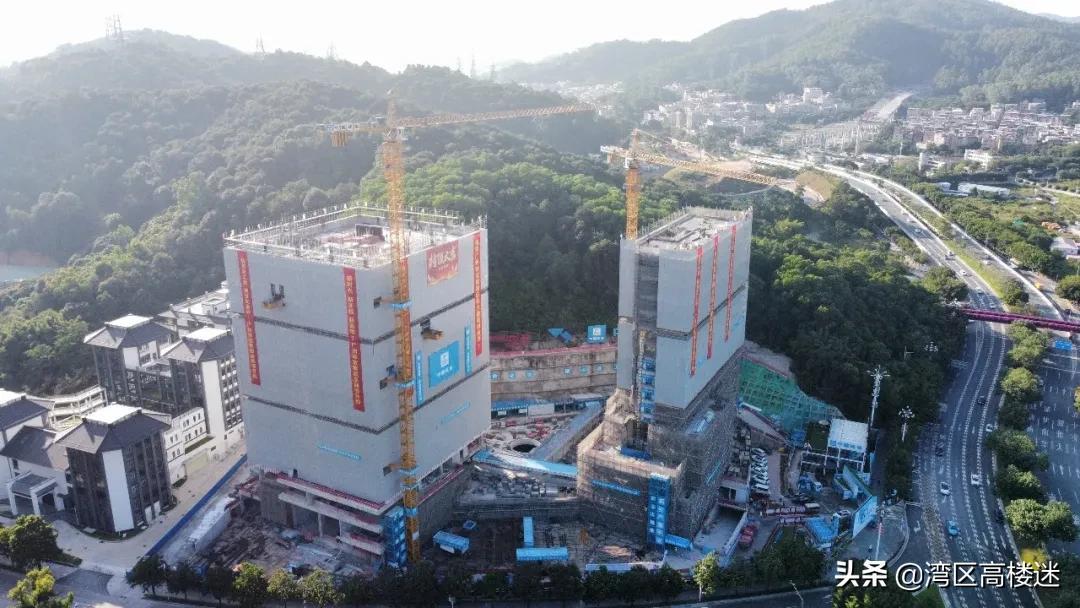 广东八二站资料大全正版,快速响应执行方案_app98.886-9