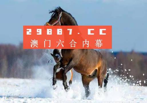 澳门今晚一肖必中,数据实施导向策略_探索版62.424-2