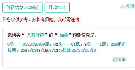 4949澳门今晚开奖结果,解析解释说法_定制版CAO84.655