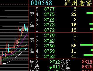 泸州老窖股票最新动态，与自然美景的旅行对话之旅