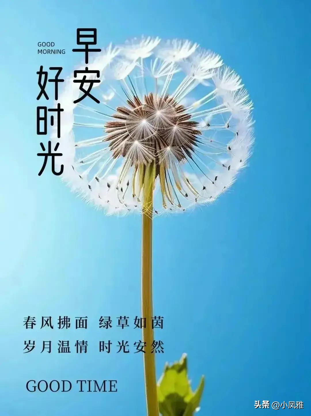 北京国油新能源 第446页