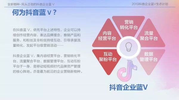 2024资料免费大全免费,实地验证实施_天然版24.525