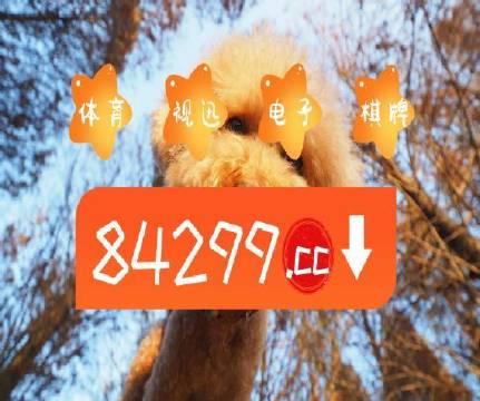 澳门天天开彩好正版挂牌图,高效执行方案_锐意版98.910