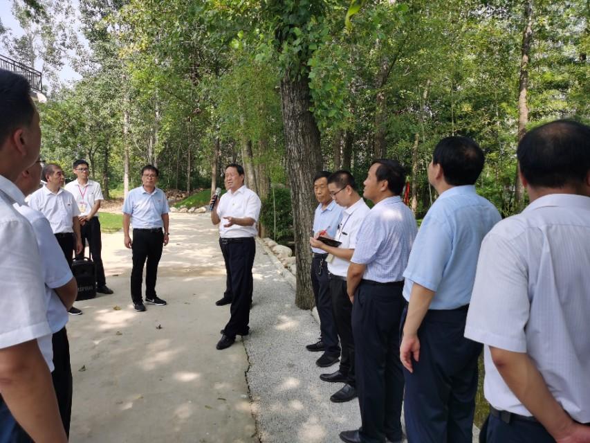 卧龙区最新发展论述概览