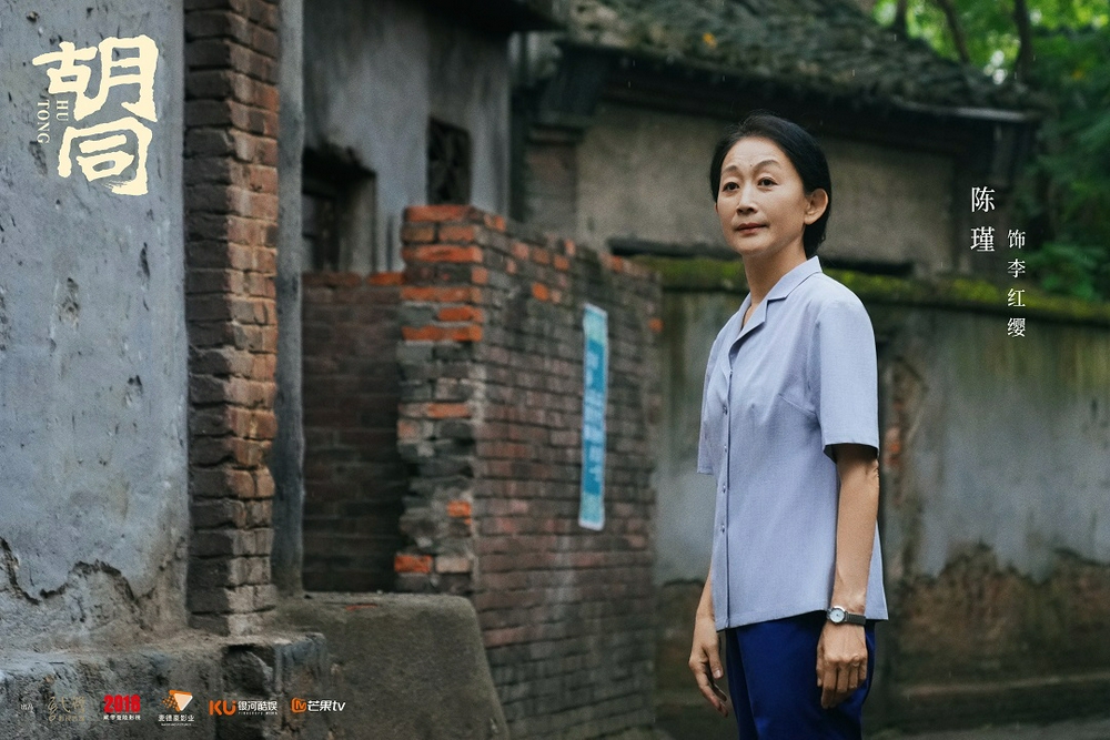 胡同电视剧制作全攻略，步骤指南与秘籍