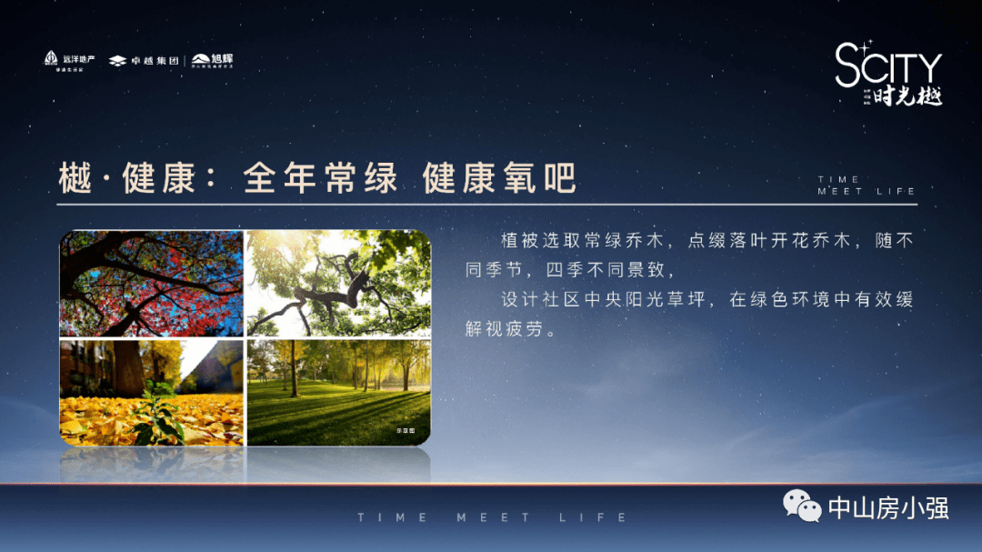 中餐厅最新,理论考证解析_工具版94.604