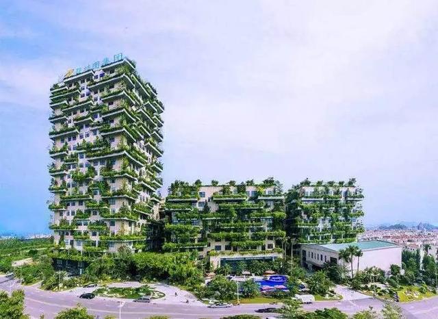 亳州碧桂园，城市崛起与地产巨擘的印记最新消息速递