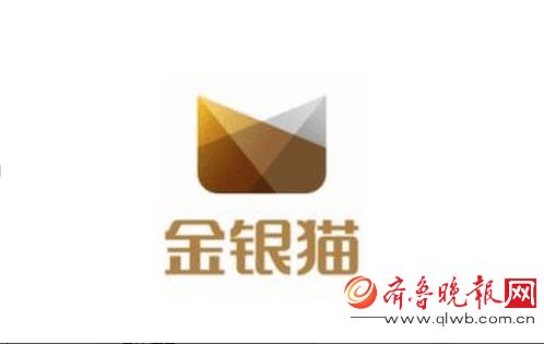 金银猫最新动态揭秘🌟