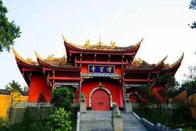 最新税法政策，时代变革的见证与解读