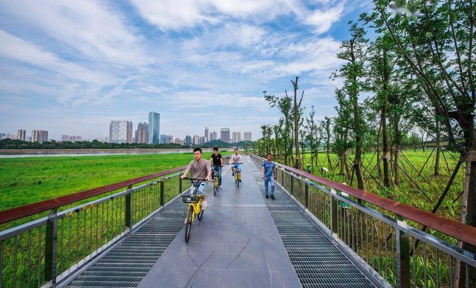 北京市田明海最新调整步骤详解及指南