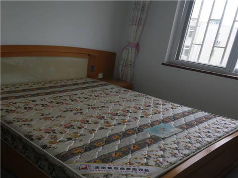 阳信出租房最新动态，市场趋势、热门区域与优质房源一网打尽