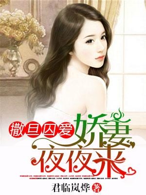 巷弄深处的独特风情小店——夜小染与君临澈最新章节探访